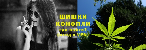 прущая мука Ельня
