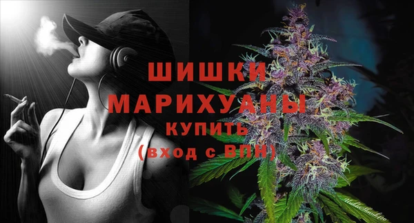 прущая мука Ельня