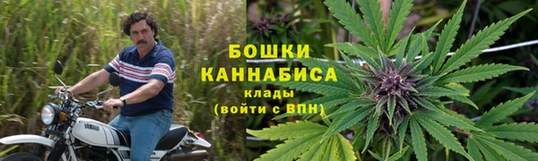 ГАЛЛЮЦИНОГЕННЫЕ ГРИБЫ Елизово