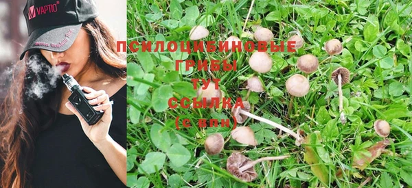 ГАЛЛЮЦИНОГЕННЫЕ ГРИБЫ Елизово