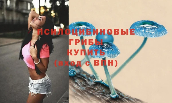 прущая мука Ельня