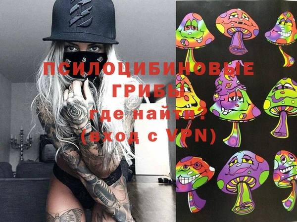 прущая мука Ельня