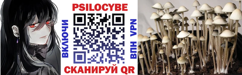Купить где  Старая Русса  Псилоцибиновые грибы мицелий 